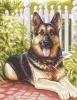 Канва-страмин Royal Paris с рисунком "Belle" 47,5*37см, MEZ Венгрия, 9880142-00446 (Канва-страмин Royal Paris с рисунком "Belle" 47,5*37см, MEZ Венгрия, 9880142-00446)